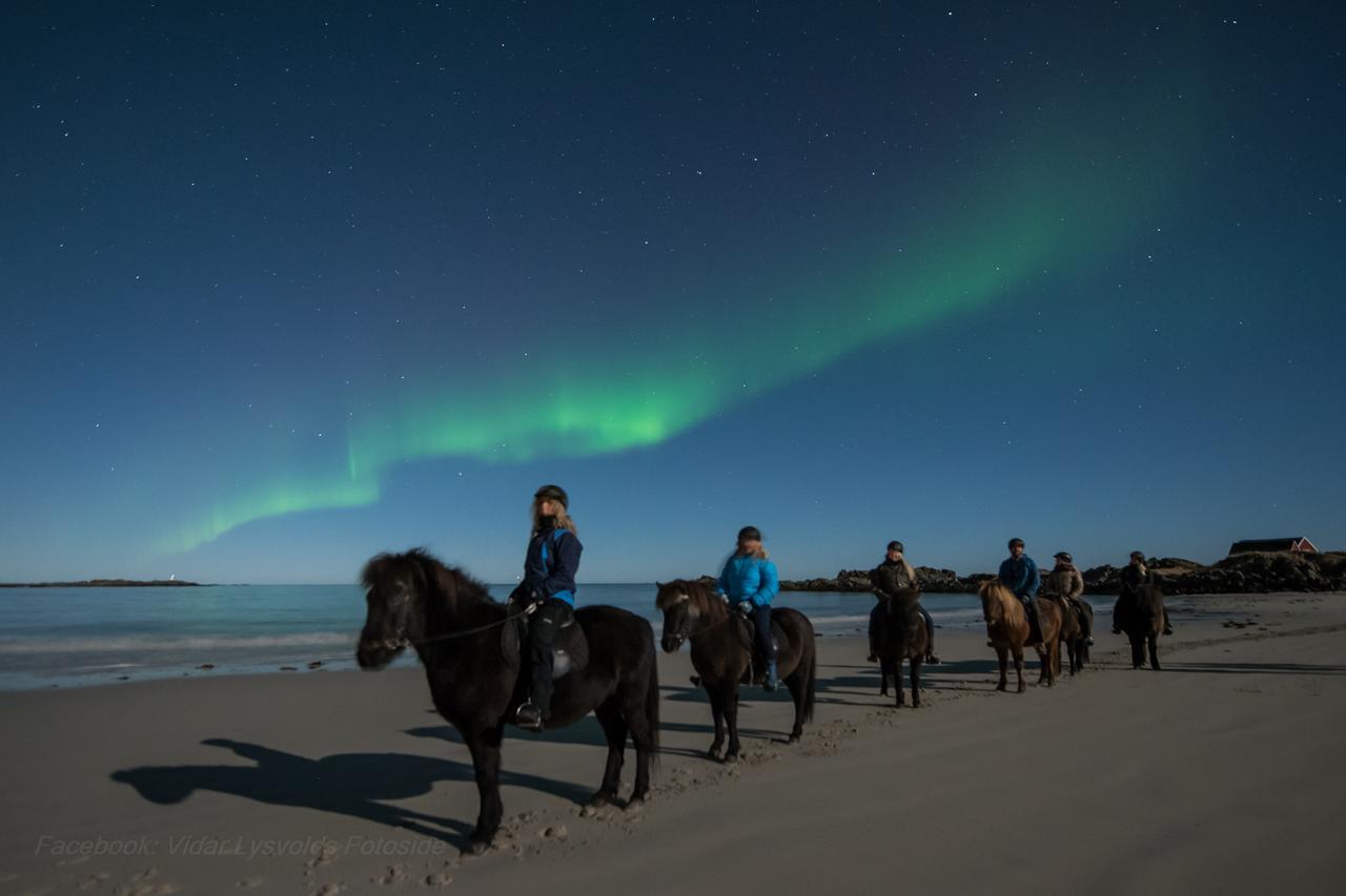 Lofoten Links Lodges Gimsoy 외부 사진